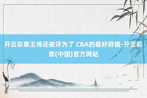 开云彩票王博还被评为了 CBA的最好莳植-开云彩票(中国)官方网站